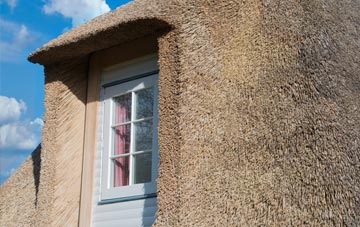 Almondbank thatch roof disadvantages